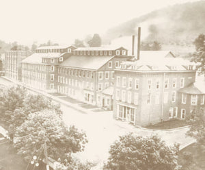 1901