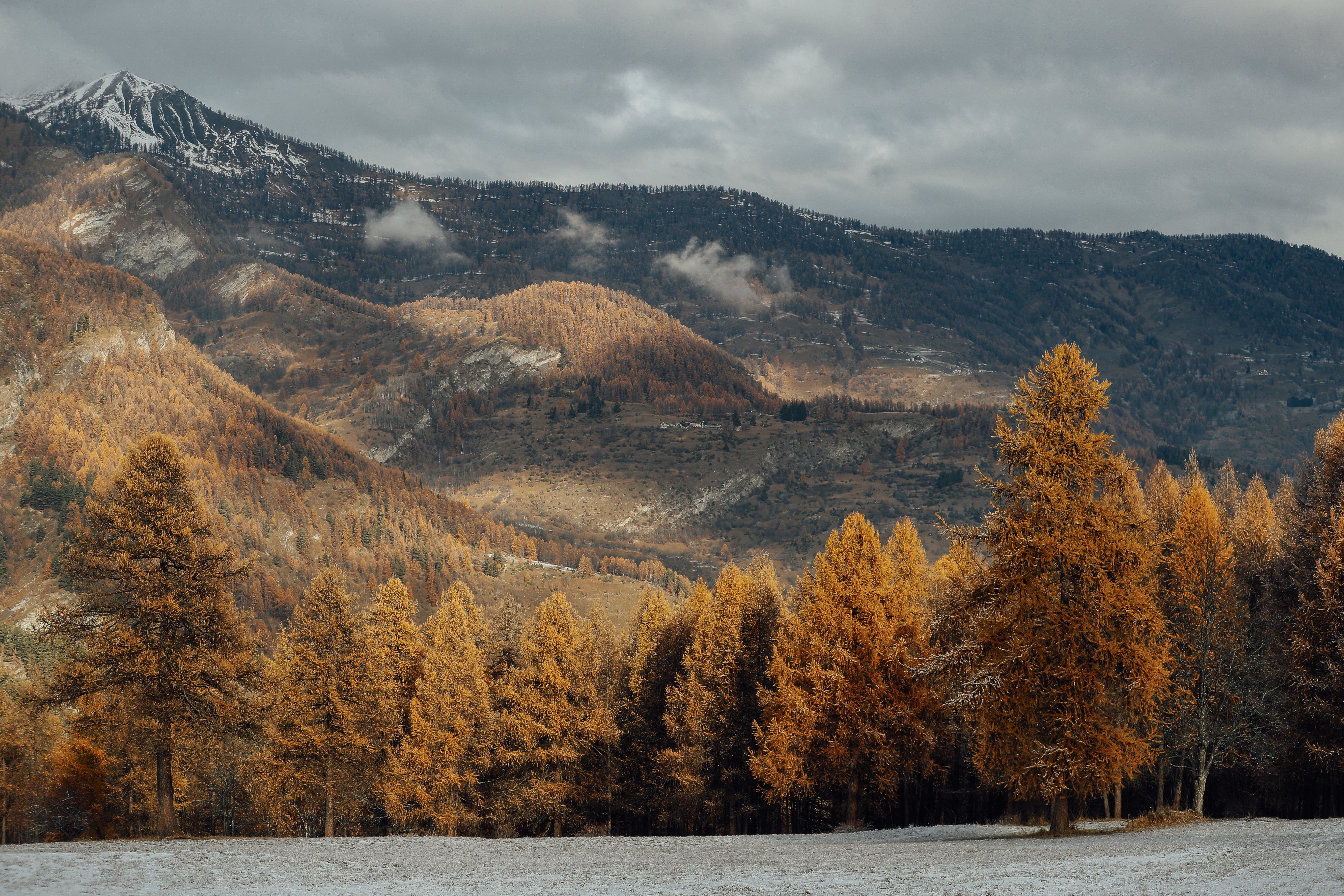 American Outdoor Clothing Since 1830 | Woolrich US – woolrich-us