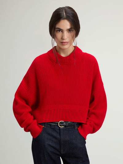 Ribbed Crewneck Sweater in Pure Merino Virgin Wool
